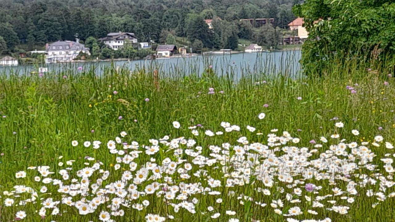 Glanz Und Gloria Velden! Woerthersee In 5 Min Zu Fuss Erreichbar! Velden am Wörthersee Exteriör bild